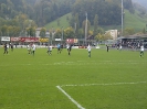 Schweizer Cup 2011 / 2012